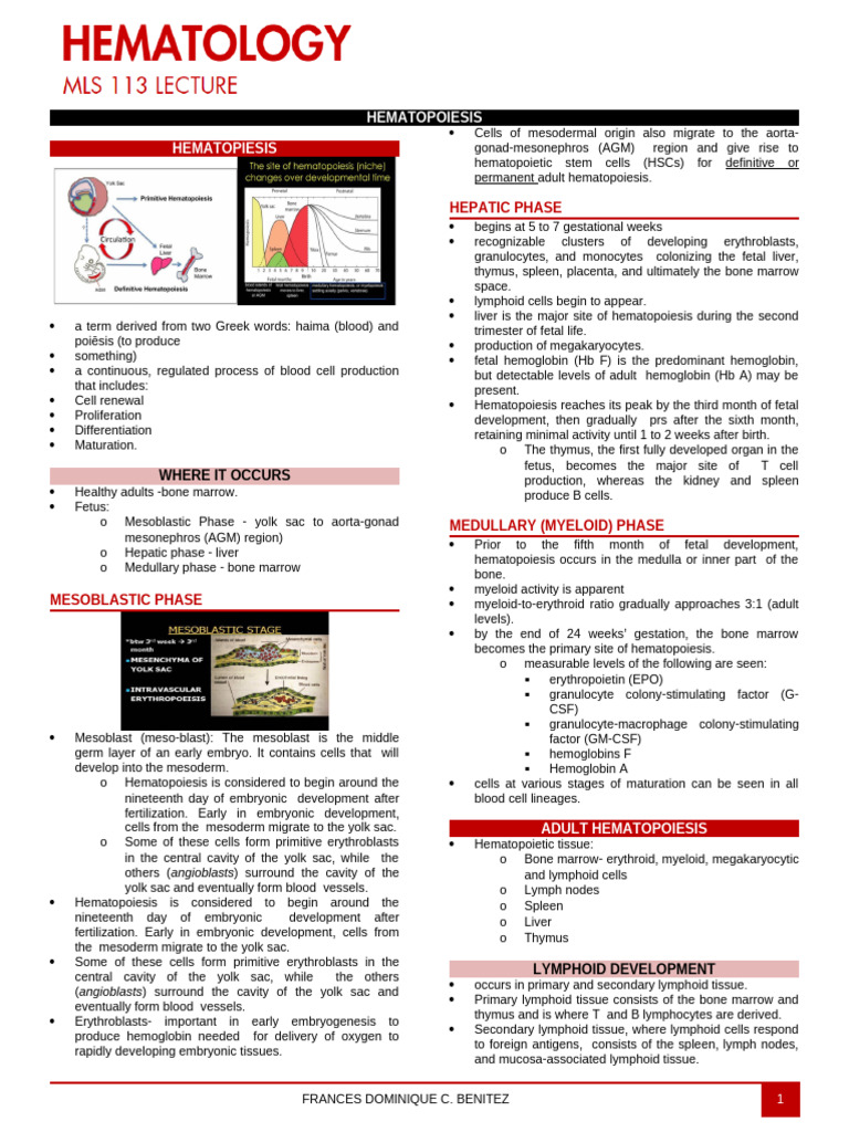 Mls 113 - Hematology - Lecture | PDF | Haematopoiesis | Red Blood Cell