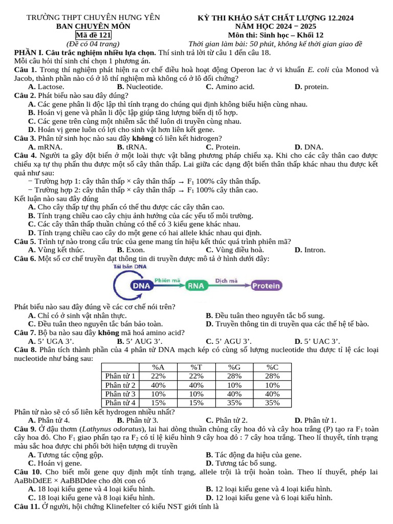 Ma de 121 | PDF