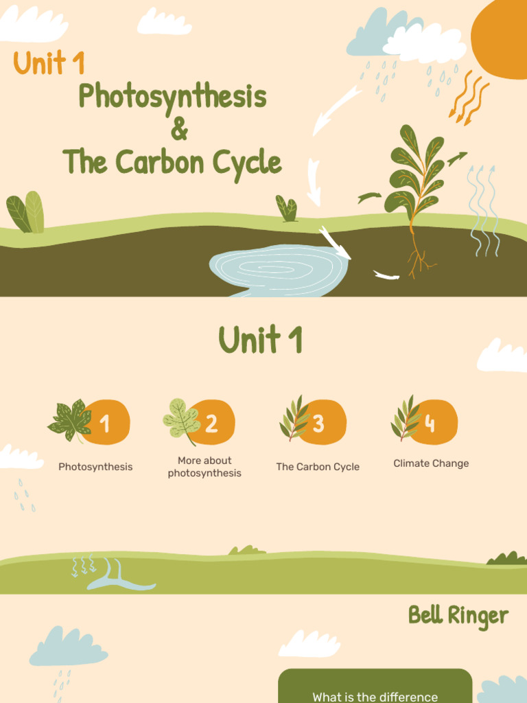 Understanding the Carbon Cycle | PDF | Carbon Dioxide | Carbon