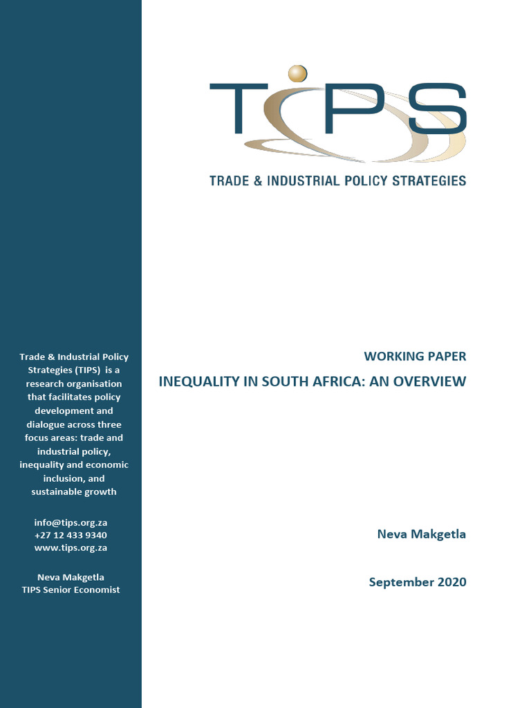 Overview of Inequality in South Africa | PDF | Gini Coefficient ...