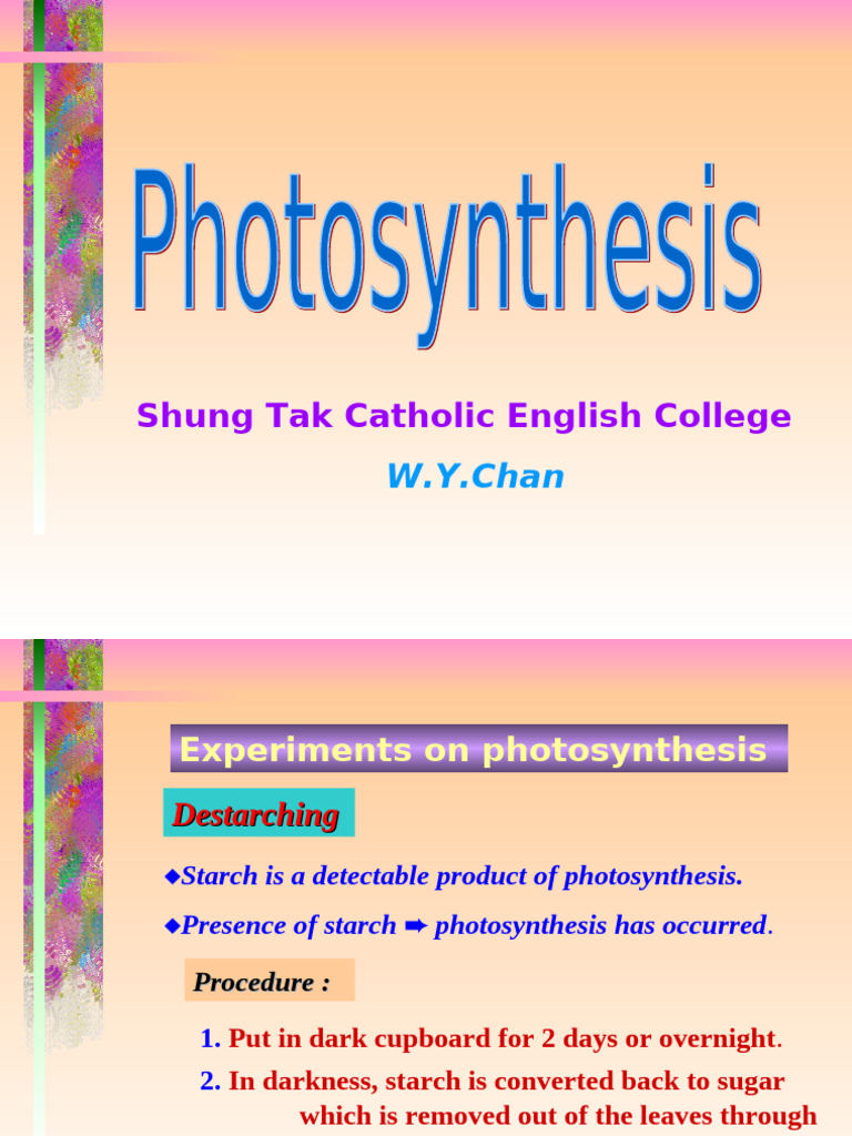 Photosynthesis Experiments Explained | PDF | Leaf | Photosynthesis