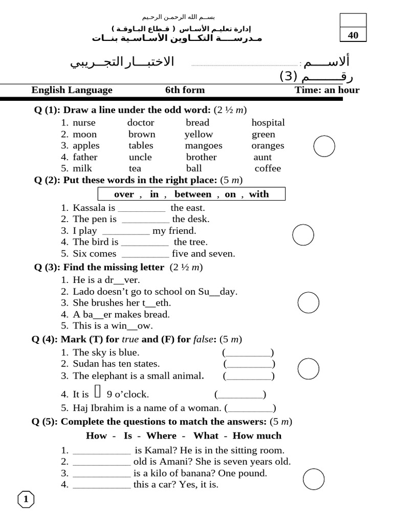 English Language Test for 6th Form | PDF