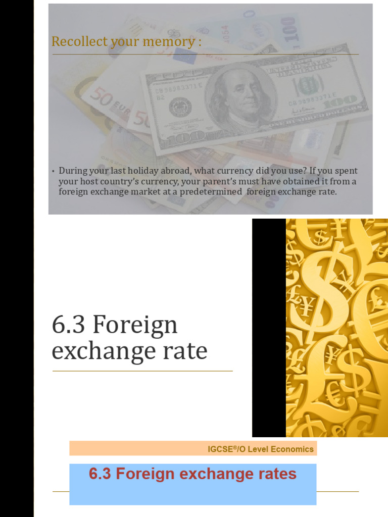 6.3 Foreign Exchange rate | PDF | Exchange Rate | Foreign Exchange Market