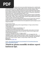 Download Membran Plasma by Ayu Dwitasari SN84054792 doc pdf