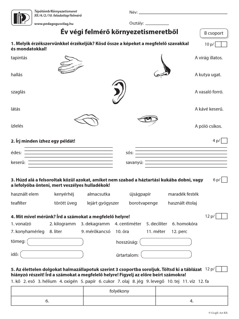 Pip 2004 Korny 2o FL Felm 10 | PDF