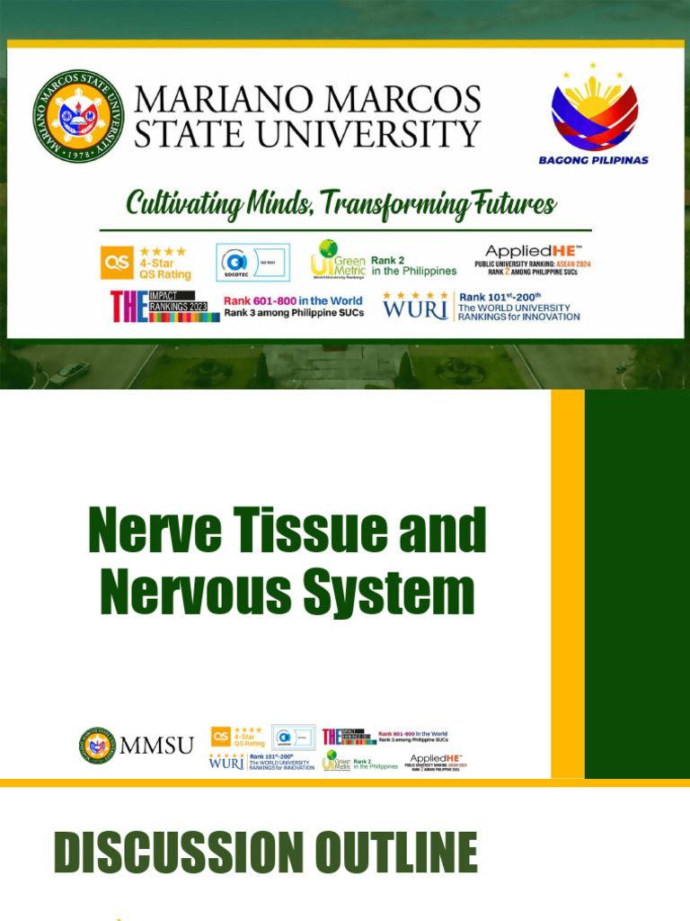 Neuron Types: Structure and Function | PDF | Nervous System | Axon