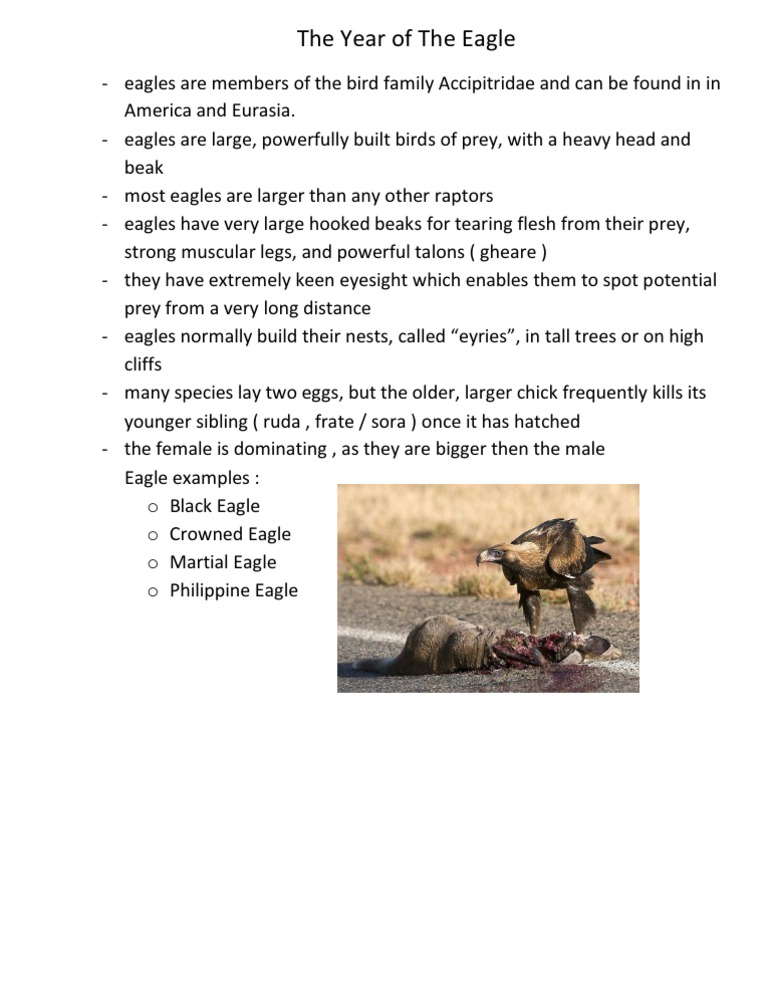Eagle | PDF