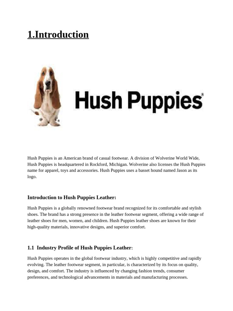 Hush Puppies: A Legacy of Comfort Footwear | PDF | Consumer Behaviour ...
