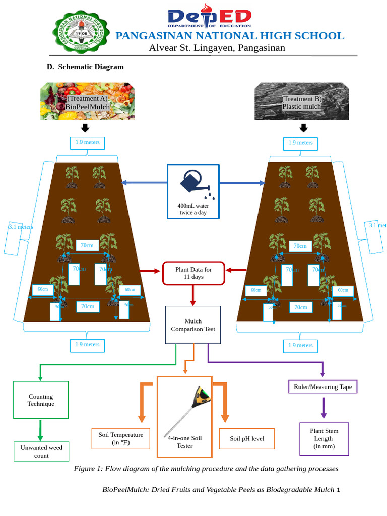 (5.1) Schematic Diagram For Research | PDF | Mulch | Botany