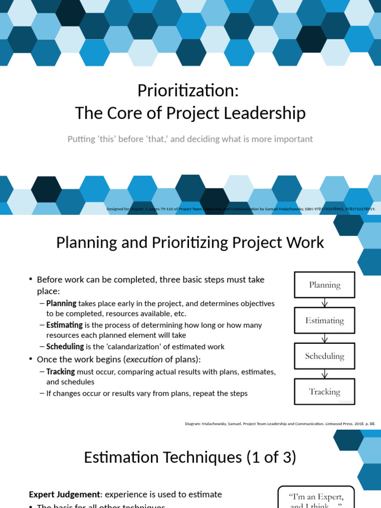 Chapter 3 - Prioritization The Core of Project Leadership | PDF ...