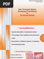 Dental Charting Symbols Guide | PDF