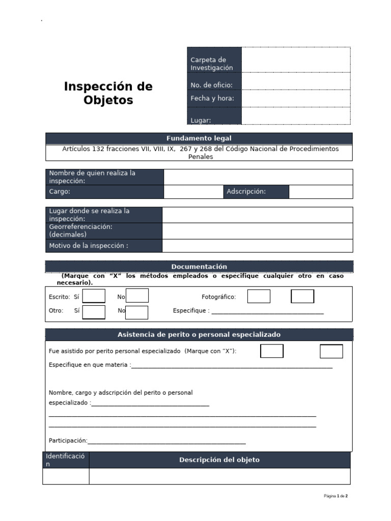 Inspección de Objetos: Protocolo y Registro | PDF