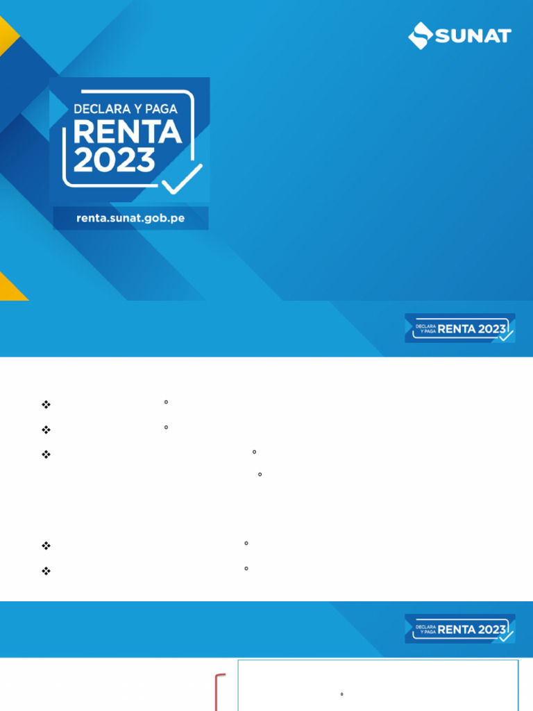 RENTA ANUAL 2023 Personas Naturales Contribuyentes | PDF | Donación ...