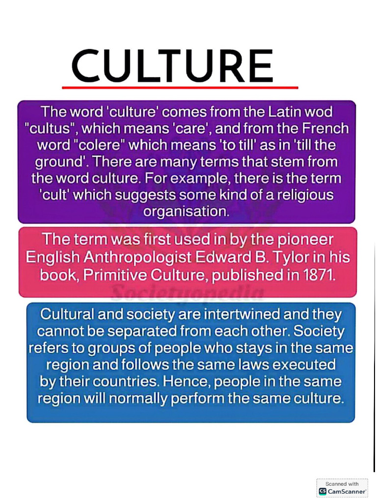 Culture (Types and Elements) | PDF