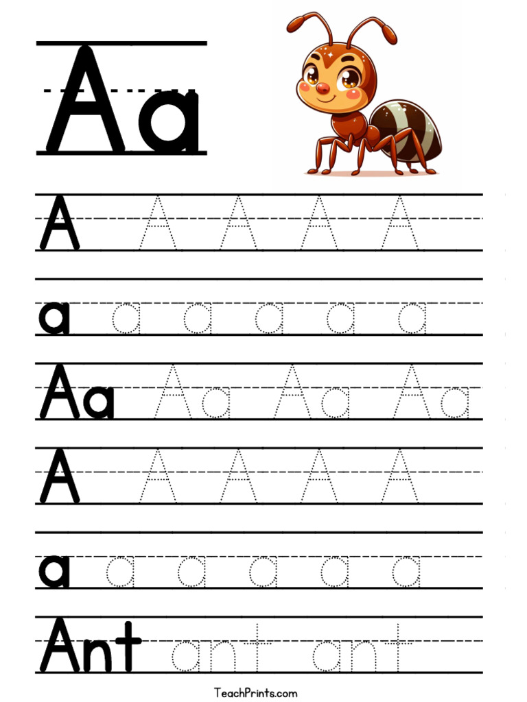 A 002 | PDF