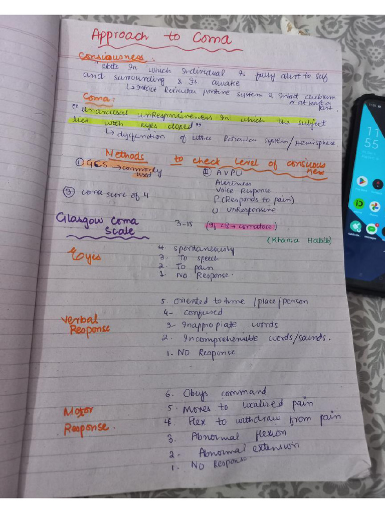 Approach To Coma Notes | PDF