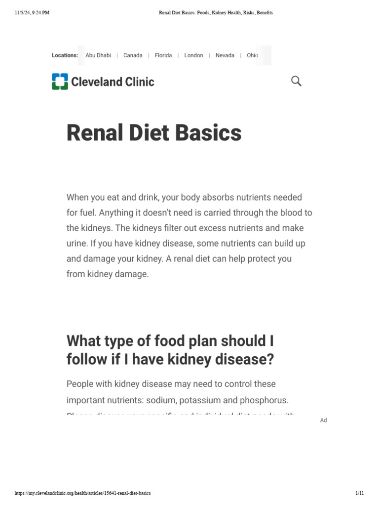 Renal Diet Guide for Kidney Health | PDF | Salt | Kidney