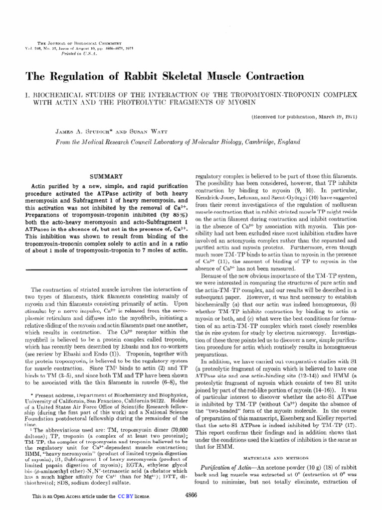 Regulation of Rabbit Muscle Contraction | PDF | Muscle Contraction ...