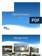 SURE-Biogas Projects 2011