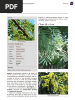 Download Acacia Tree by Anonymous rFtiDaRu SN84070832 doc pdf