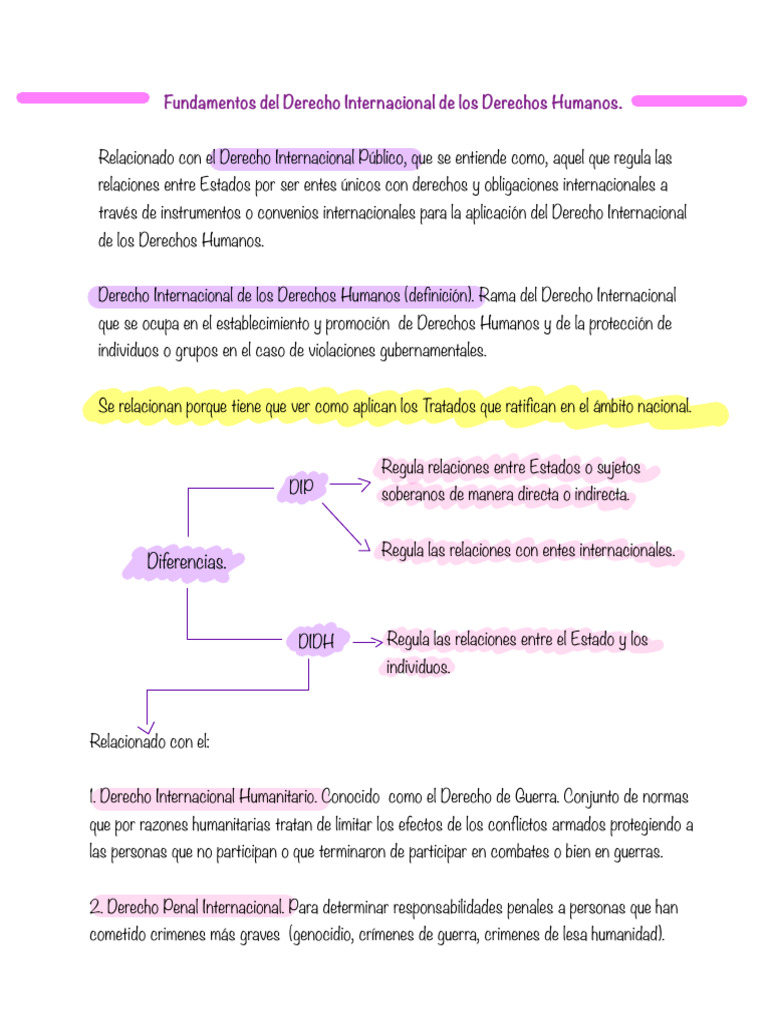 Derecho Internacional de Los Derechos Humanos(1) | PDF | Caso de ley ...