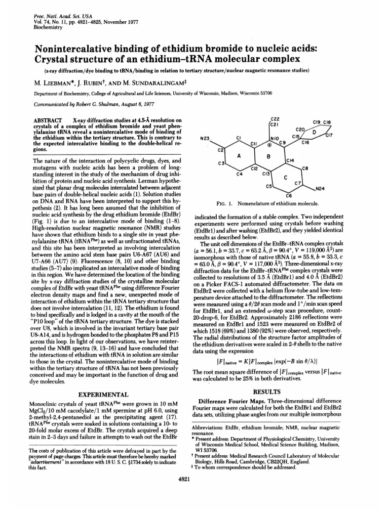 Ethidium Bromide Binding to tRNA Structure | PDF | Nucleic Acids | Base ...