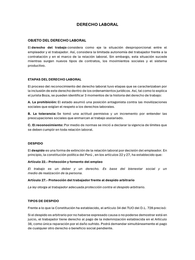 DERECHO LABORAL | PDF | Derecho laboral | Justicia