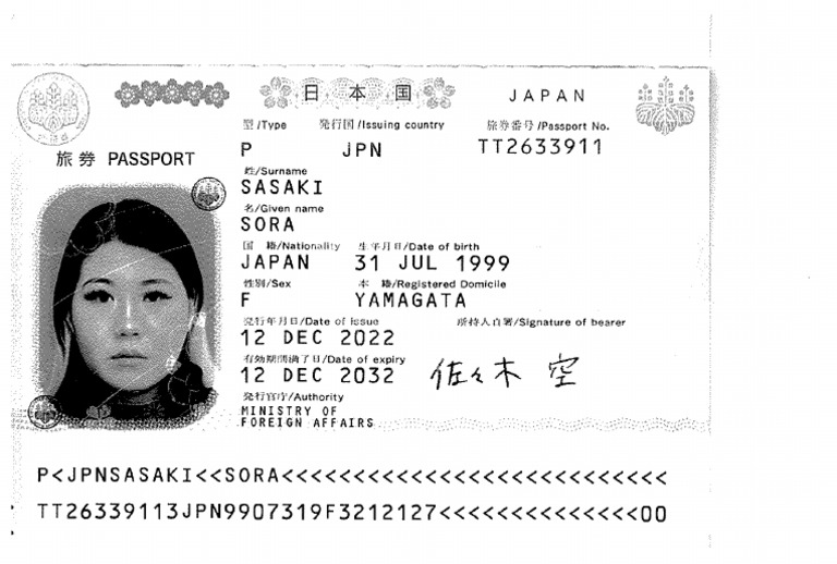 Scan 001 | PDF