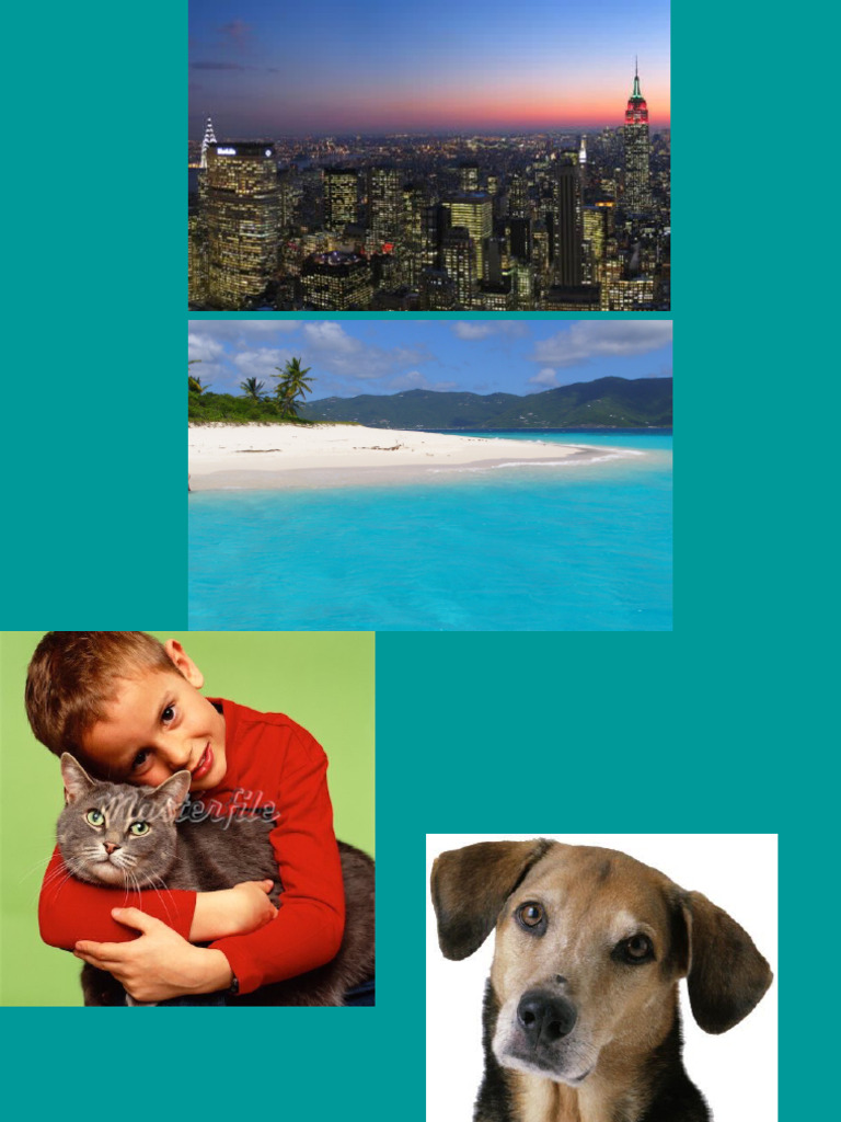 Oral Practice With Photos Pdf