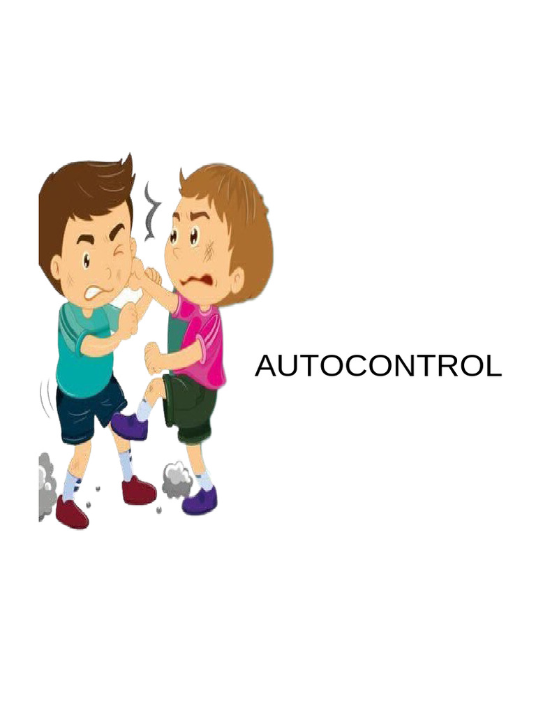Autocontrol | PDF