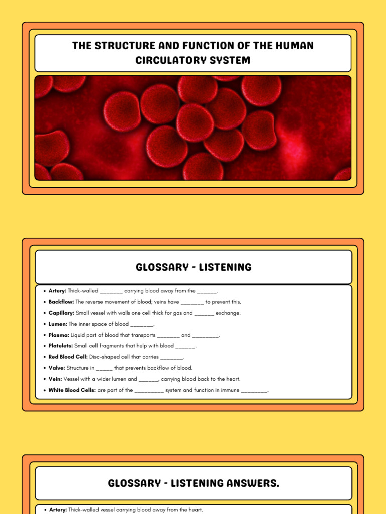 Human Circulatory System Overview | PDF | Blood | Blood Vessel