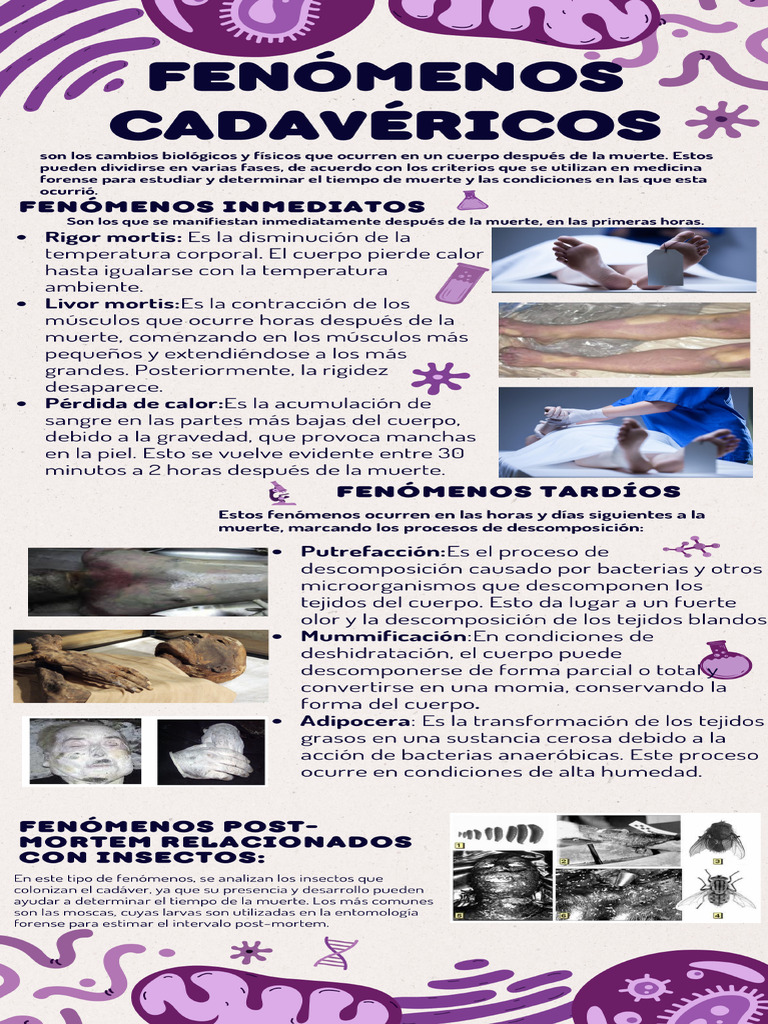 Fenómenos Cadavéricos - 20250313 - 143419 - 0000 | PDF