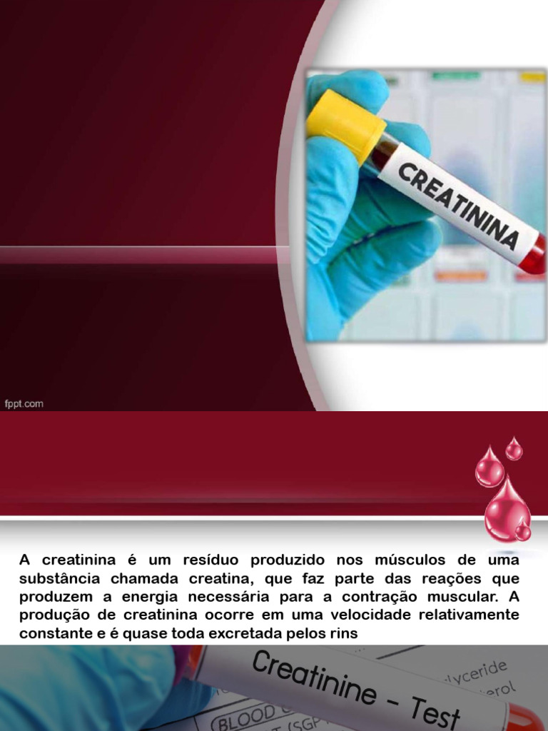 Creatinina: Função e Interpretação Clínica | PDF