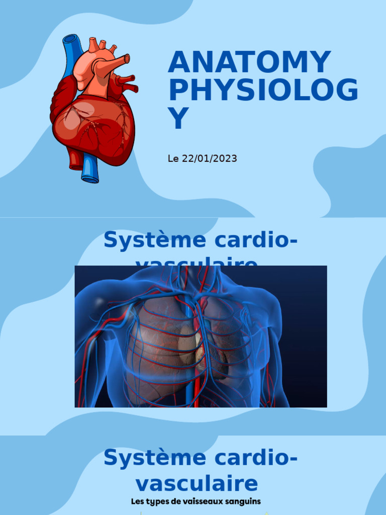 Anatomie et physiologie cardiaque | PDF | Atrium (anatomie) | Vaisseau ...