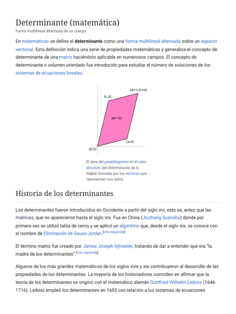 Determinante (Matemática) - Wikipedia, La Enciclopedia Libre | PDF ...