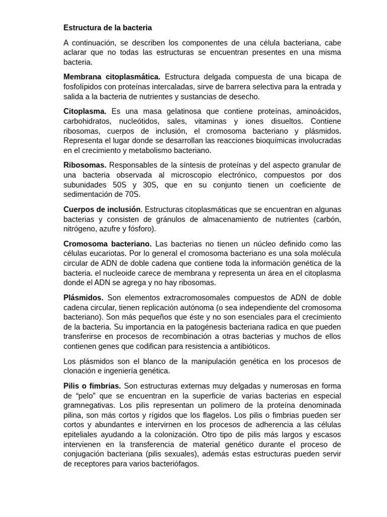 Estructura y componentes de bacterias | PDF | Las bacterias | Ribosoma