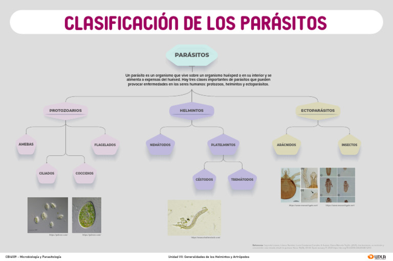 Clasificación de Parásitos y Helmintos | PDF | Parasitismo | Parasitología