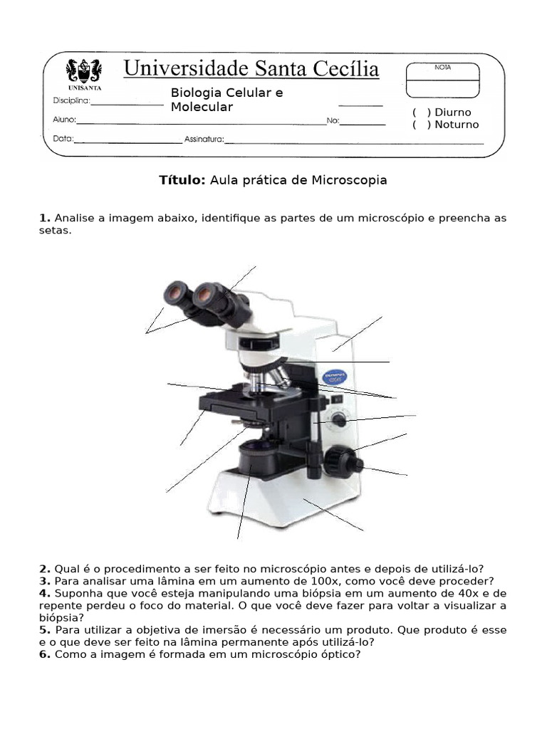 Praticademicroscopiaa585873.docx (4) | PDF