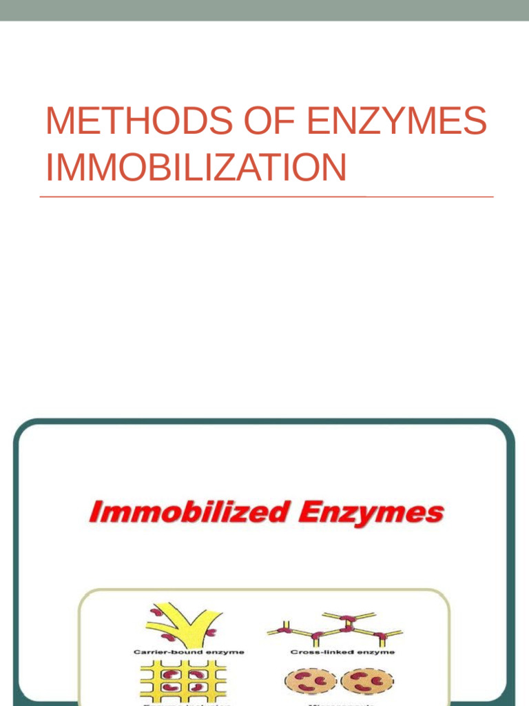 Enzyme Immobilization Techniques Explained | PDF