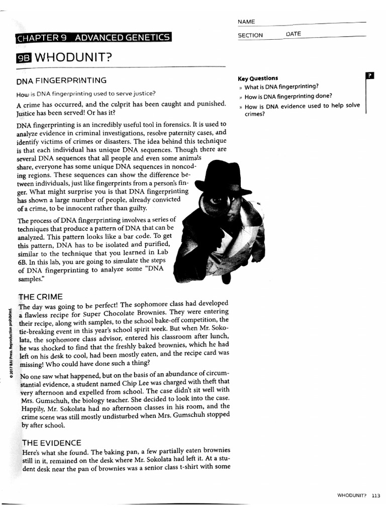 DNA Fingerprinting Lab Analysis | PDF | Dna Profiling | Dna
