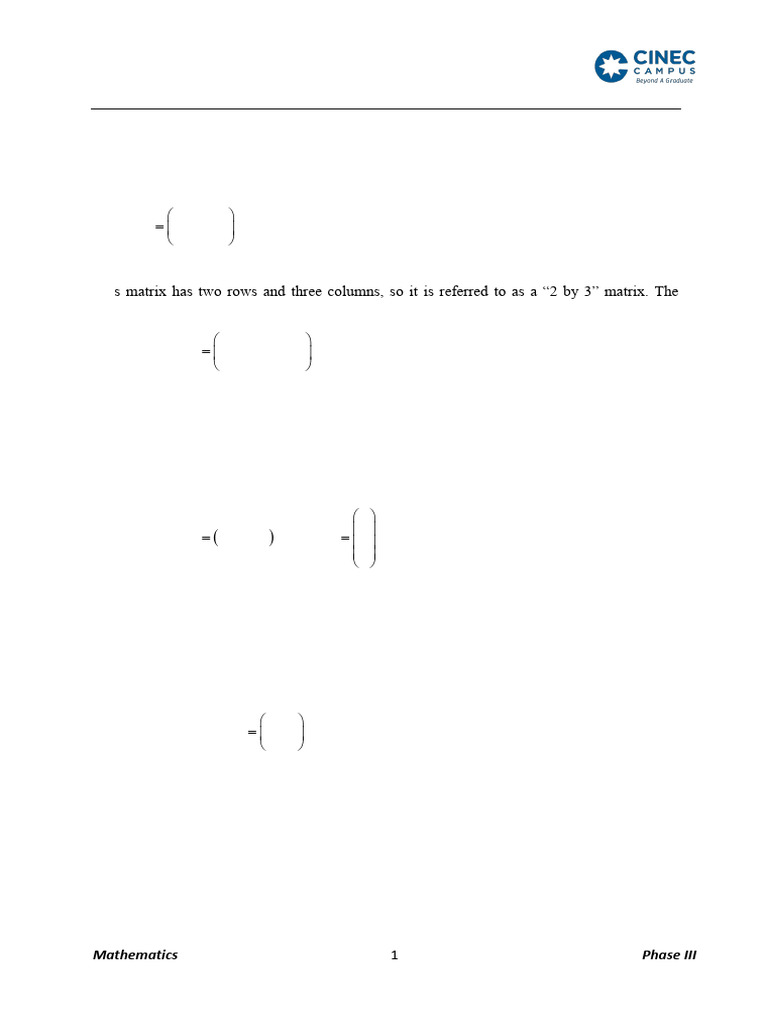 Matrices and Determinants Explained | PDF | Matrix (Mathematics ...