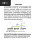 Download Tugas TEORI BIOGENESIS by Syafa Lazuardi SN84088034 doc pdf