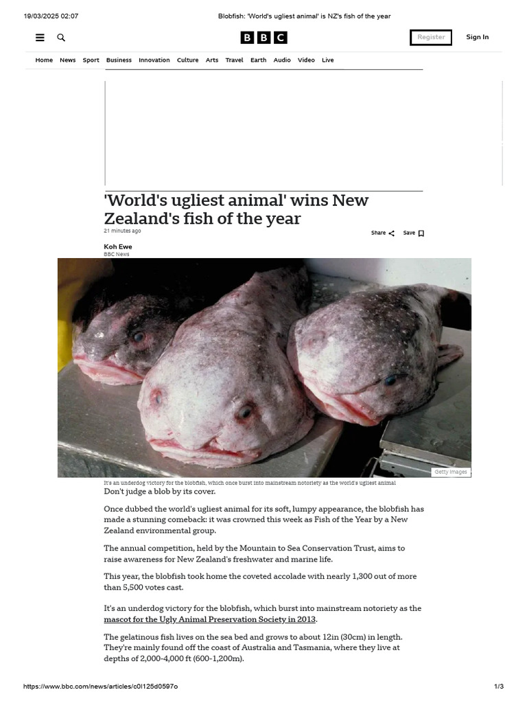 Blobfish - 'World's Ugliest Animal' Is NZ's Fish of The Year | PDF ...