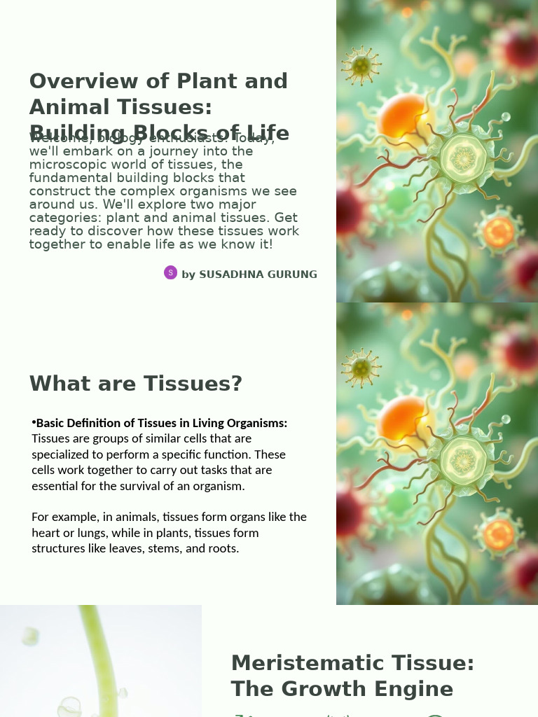 Plant and Animal Tissues Building Blocks of Life | PDF | Tissue ...