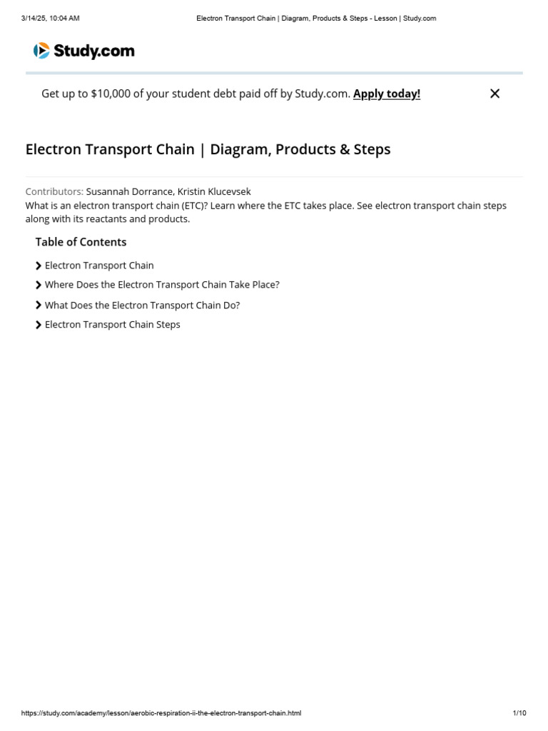 Electron Transport Chain Explained | PDF | Electron Transport Chain ...