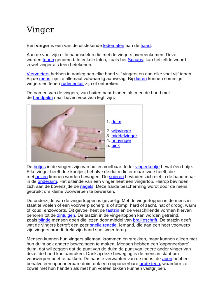 Vinger | PDF