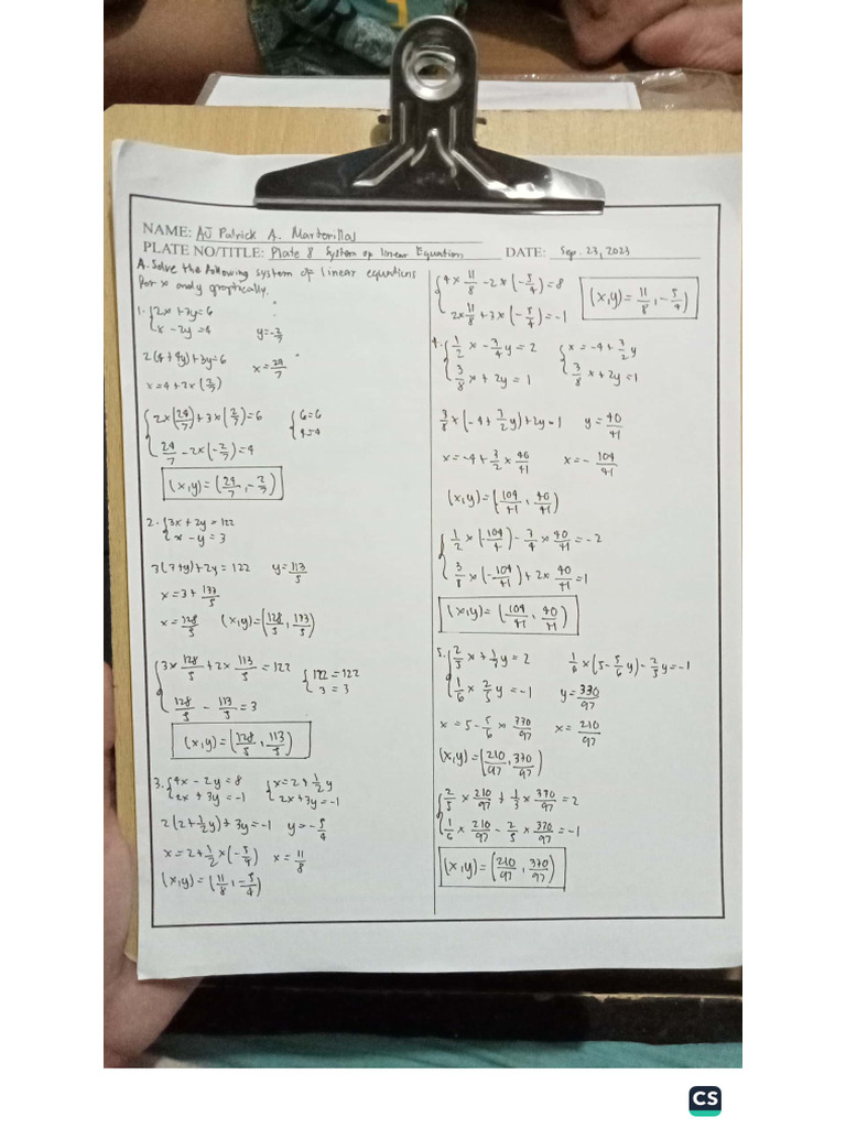 Plate 8 System of Linear Equations | PDF