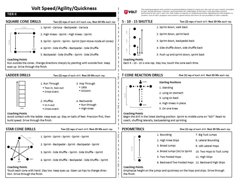 SAQ Training Program for Athletes | PDF