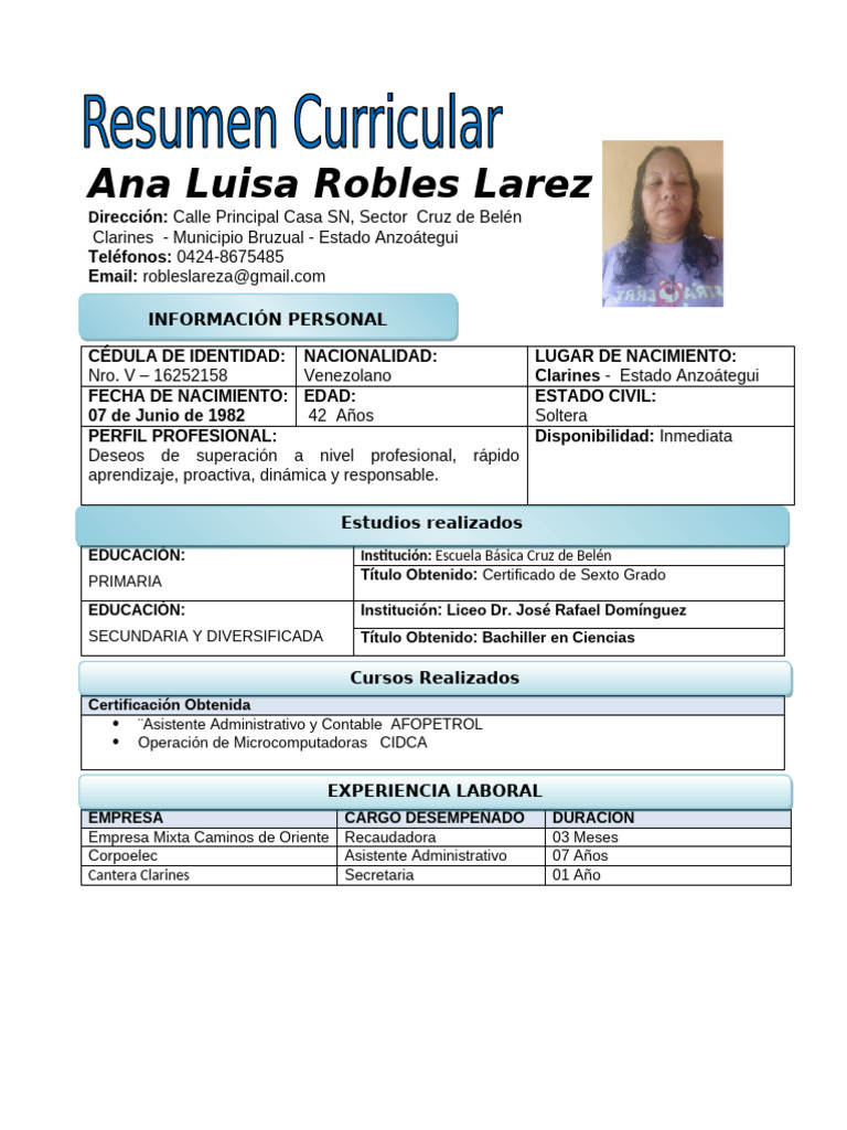Ana Luisa Robles: Perfil Profesional | PDF