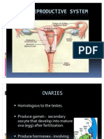 Female Reproductive System